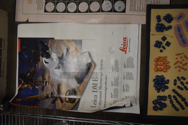 ALL ONE MONEY! Lot of Metabolic Pathways, Development Of Blood Cells Chart AND MORE!  - Image 4 of 7