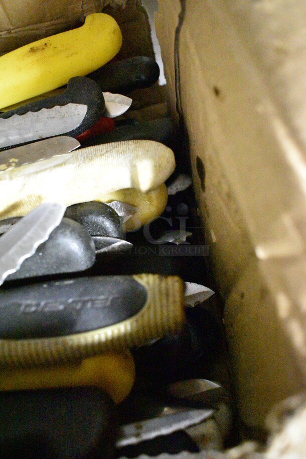 40 SHARPENED Stainless Steel Knives Including Serrated Bread Knives. 40 Times Your Bid!  - Image 4 of 6