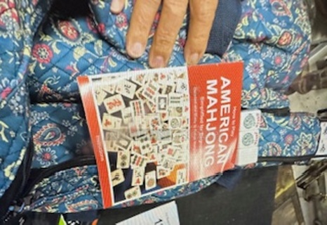 NEW Mahjong Game In Carry Bag.