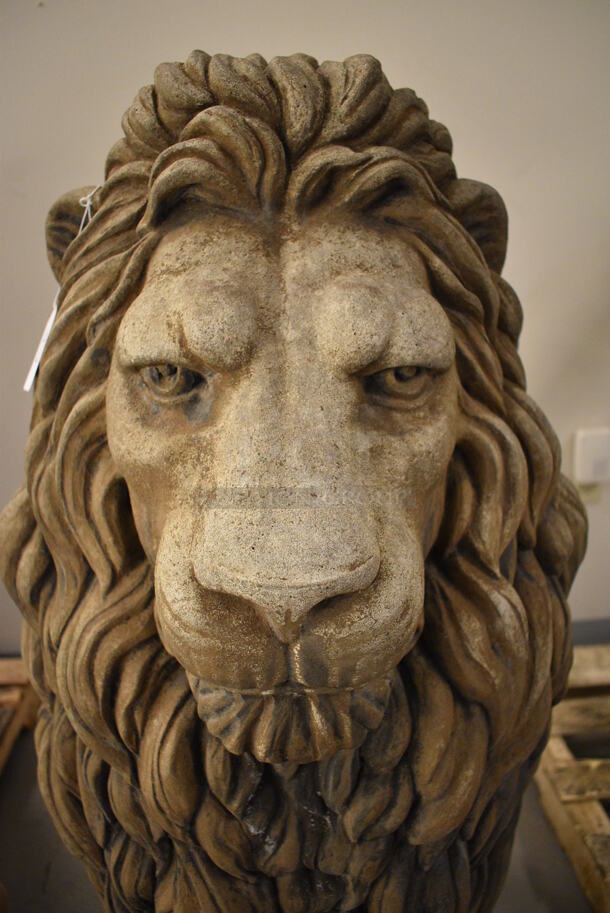 FANTASTIC Stone Barbary Lion Statue - Image 5 of 9
