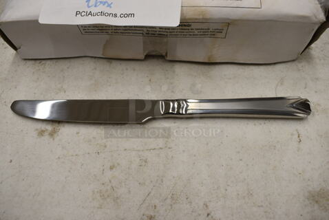 24 BRAND NEW IN BOX! Stainless Steel Dinner Knives. 9". 24 Times Your Bid!