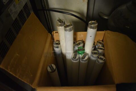 Box of 15 Fluorescent Light Tubes. 48". (kitchen)