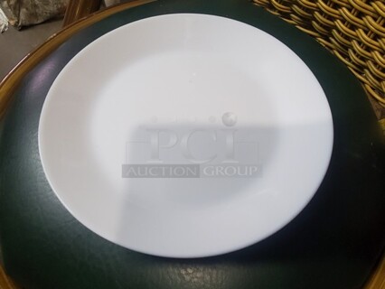 Lot of 18 Buffet Pizza Plate ALL ONE MONEY!