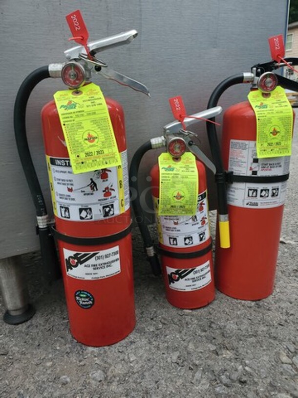 Fire Extinguisher BIDX3 - Image 3 of 5