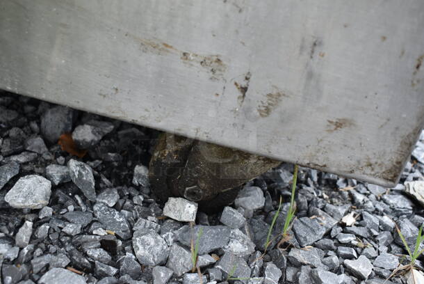 Stainless Steel Table w/ Back Splash and 2 Under Shelves on Commercial Casters. 56x27x36 - Image 6 of 6
