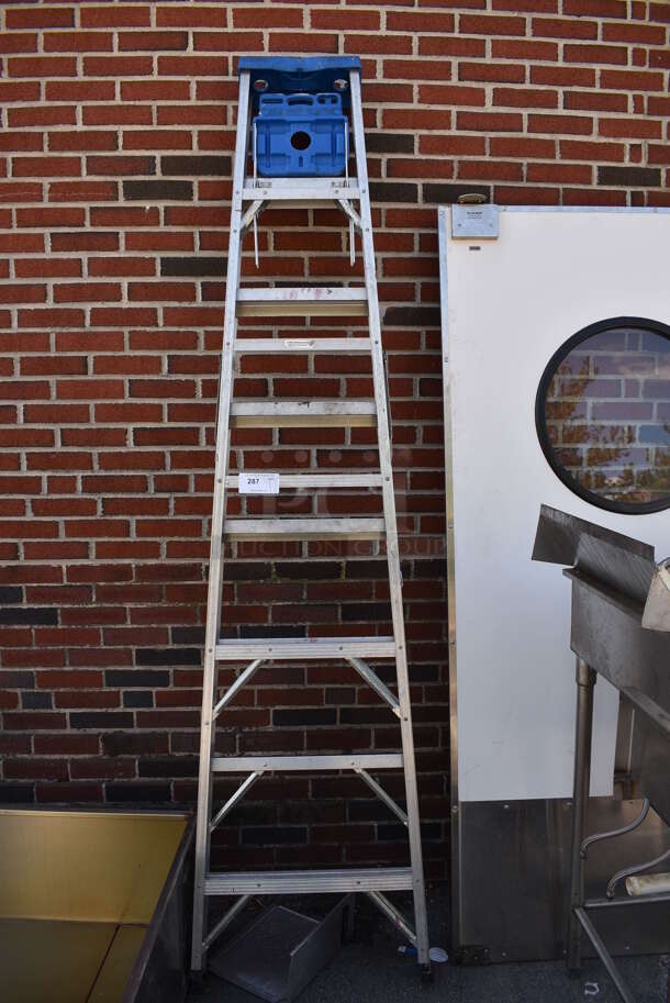 Werner 8' 250 Pound Capacity Ladder