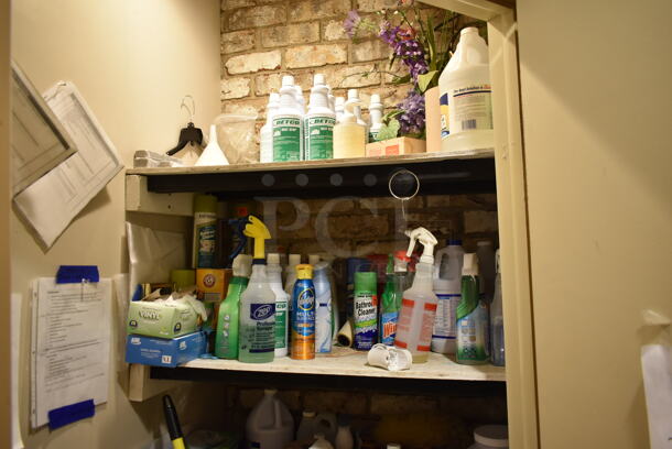 ALL ONE MONEY! ROOM LOT of Various Items Including Broom, Cleaners and Dust Pan. BUYER MUST REMOVE. (front hallway) - Image 2 of 8
