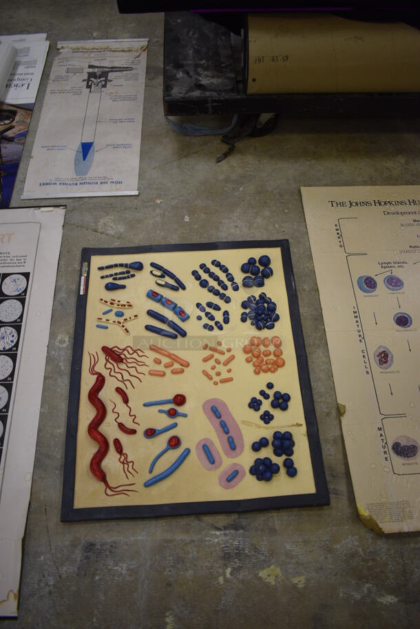 ALL ONE MONEY! Lot of Leica Science Learning Guides (Main Building) - Image 4 of 5