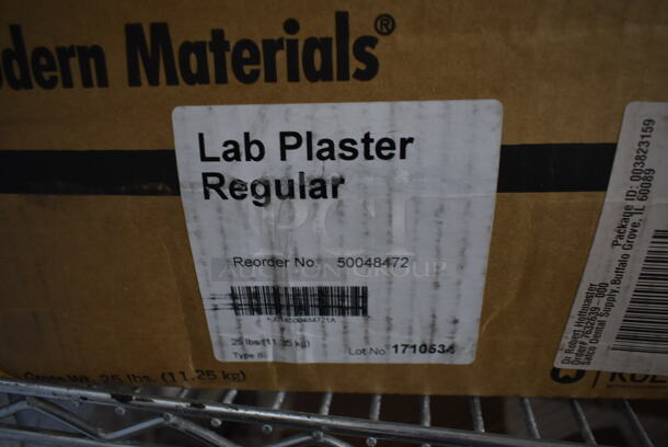 ALL ONE MONEY! Tier Lot of Various Items Including Lab Plaster and Christmas Ornaments - Image 4 of 7