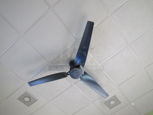 One 3 Blade Ceiling Fan. BUYER MUST REMOVE