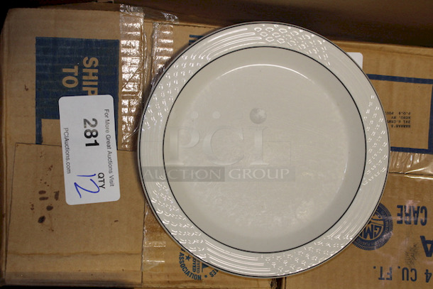 NEW! Case of 12 Sterling China 9-3/4