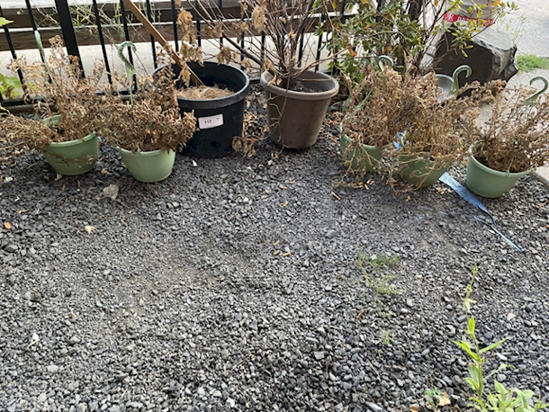 NICE!! (4) Hanging Planters, (2) Standard Planters, Plastic. 6x Your Bid - Image 2 of 2