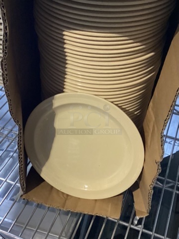 NSF ACOPA 8” Salad/Sandwich Plate,Cream Colored.
You Bid x 55
 - Image 1 of 2
