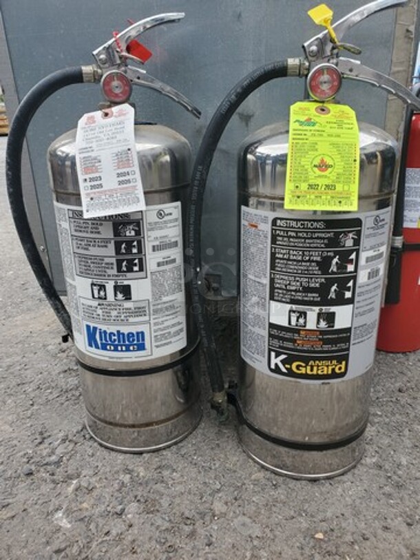 Fire Extinguisher BIDX2 - Image 1 of 5