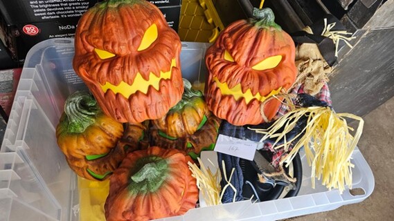 Lot of Halloween Decorations