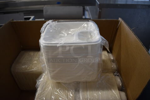 2 Boxes of BRAND NEW! Choice Nacho Trays. 2 Times Your Bid!