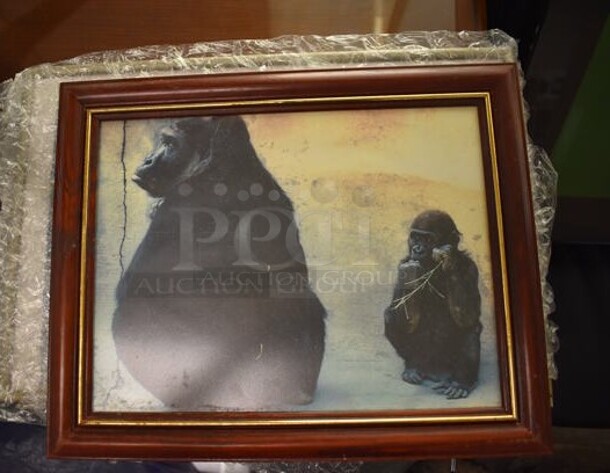 3 Framed Pictures of Gorillas and Bear. Includes 15.5x1x12.5. 3 Times Your Bid!