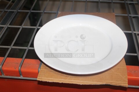 NEW IN BOX! 2 Boxes (1 Full, 1 Partial) Tuxton Alaska 9.5" Plates. 37X Your Bid! 