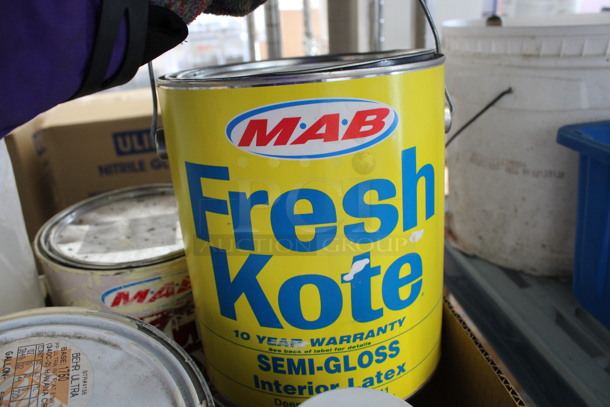 ALL ONE MONEY! Lot of Various Cans Including Paint and Polyurethane Interior.  - Image 3 of 6