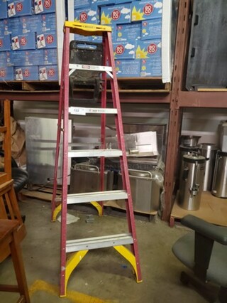 6ft Werner ladder