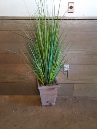 Artificial Plant 