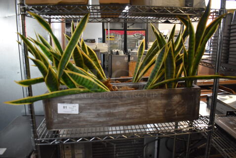 ALL ONE MONEY! Tier Lot of 2 Fake Plants