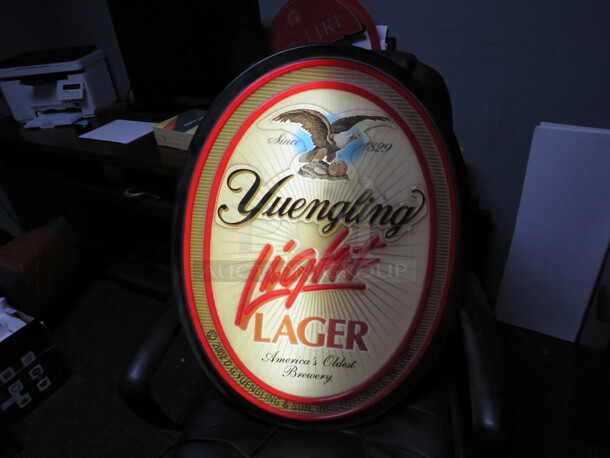 One Yuengling Light Lager Light. 22X5X29