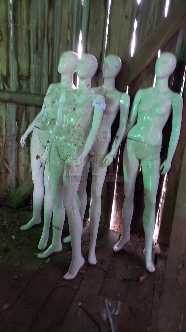 Lot of 4 Mannequins

(Location 3)