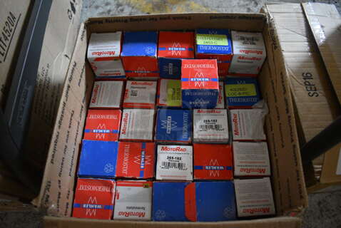 ALL ONE MONEY! Lot of 56 BRAND NEW IN BOX! Thermostats