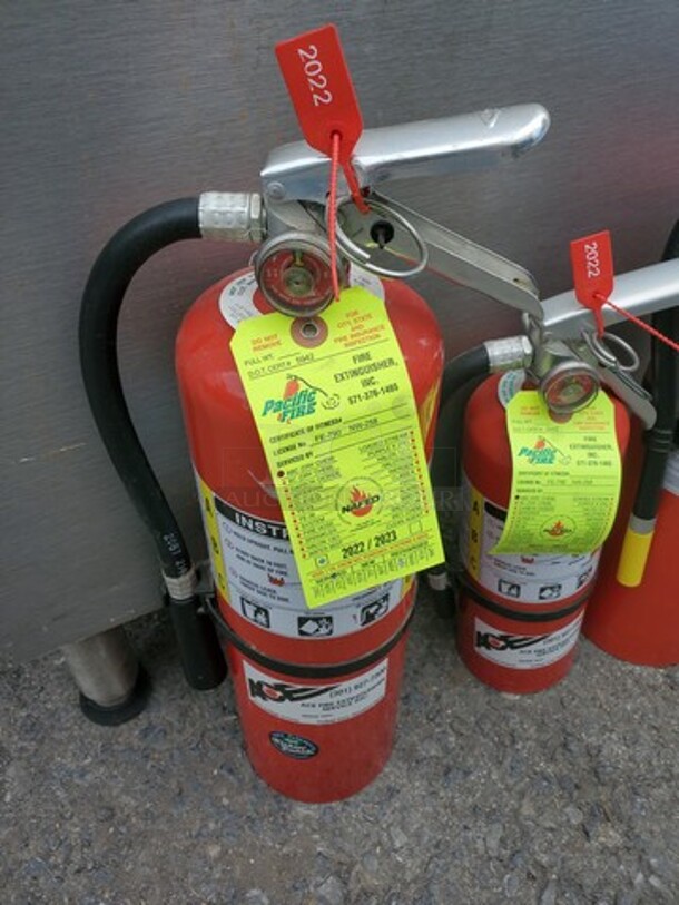 Fire Extinguisher BIDX3 - Image 4 of 5