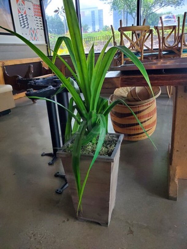 Artificial Plant  - Image 2 of 2