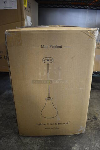 BRAND NEW SCRATCH AND DENT! Lighting Deco and Beyond Mini Pendent Light Fixture. 
