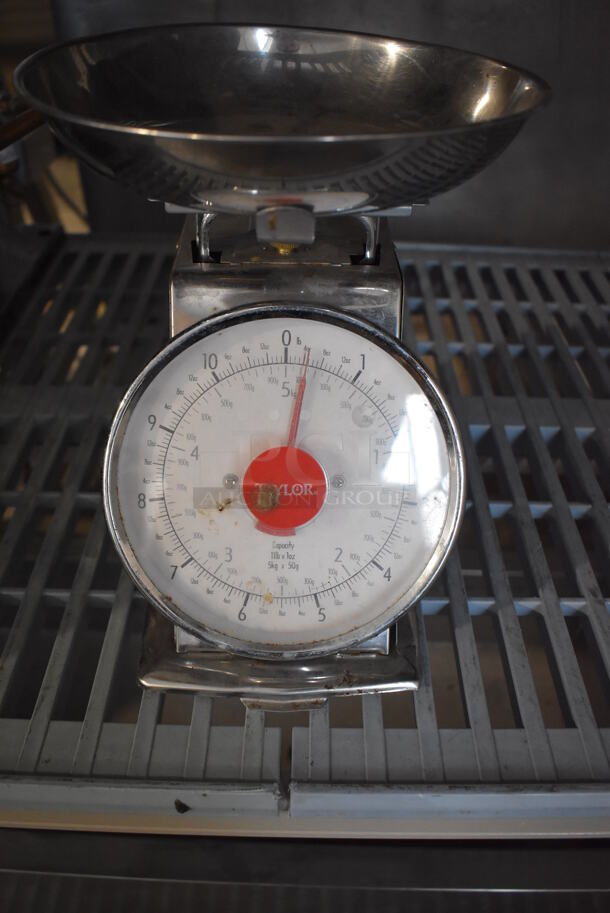 Taylor Metal Countertop Food Portioning Scale.