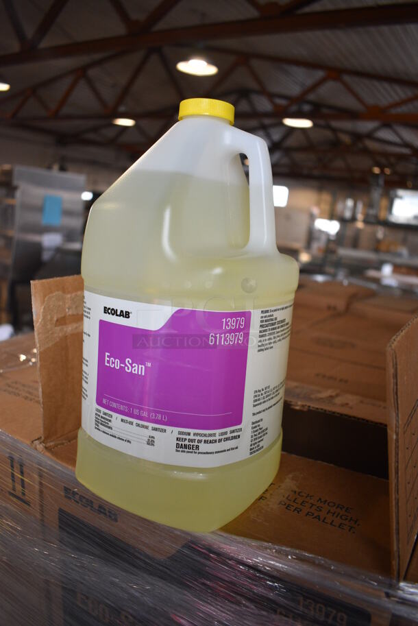PALLET LOT of 48 BRAND NEW! Boxes of 4 Ecolab Eco-San Jugs. Total of 192 Jugs. 6x6x12. 48 Times Your Bid!  - Image 2 of 3