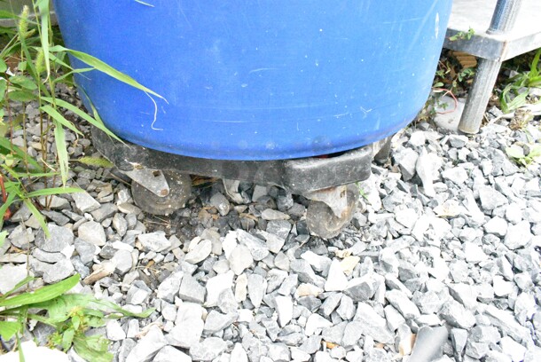 9 Various Poly Trash Cand Including Rubbermaid Brute. 9 Times Your Bid!  - Image 6 of 12