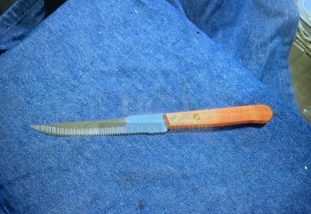 Dozen NEW Steak Knife. 3XBID. 36 TOTAL Knives. - Image 1 of 1