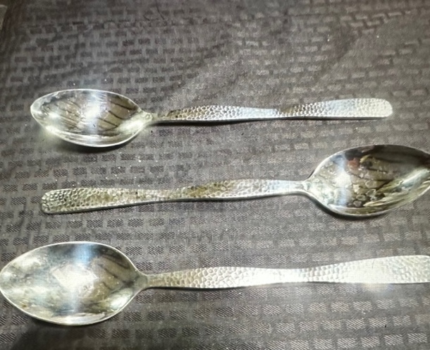 Stainless Steel Spoon. 3XBID - Image 1 of 1