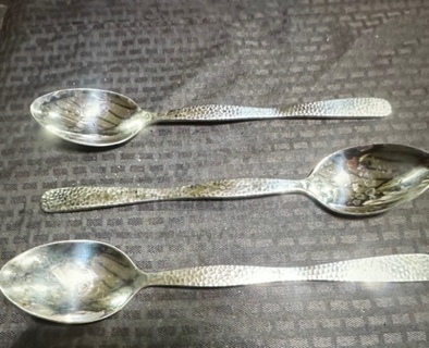 Stainless Steel Spoon. 3XBID