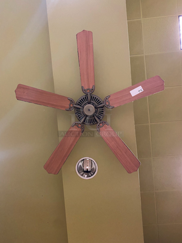 BEAUTIFUL! 49" Ceiling Fan. 

Winning Bidder is Responsible for Removal.  - Image 2 of 3