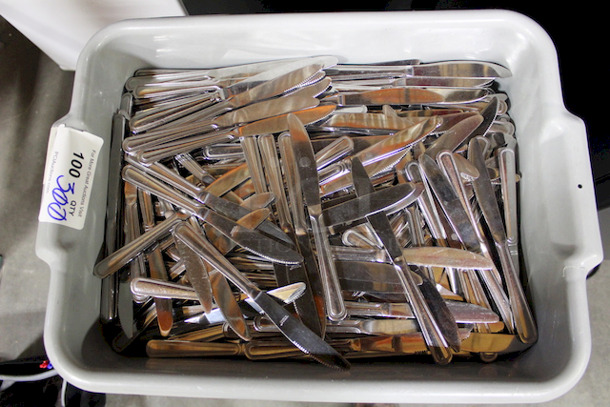 HUGE LOT! 300 Superior Radianz Dinner Knives With Bus Tub. 300x Your Bid.  - Image 2 of 2