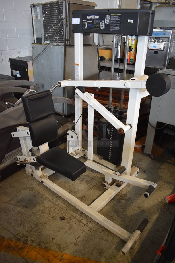 Paramount Model AP-2200 Metal Commercial Floor Style Triceps Extension Machine. Maxes Out At 250 Pounds. 44x52x62