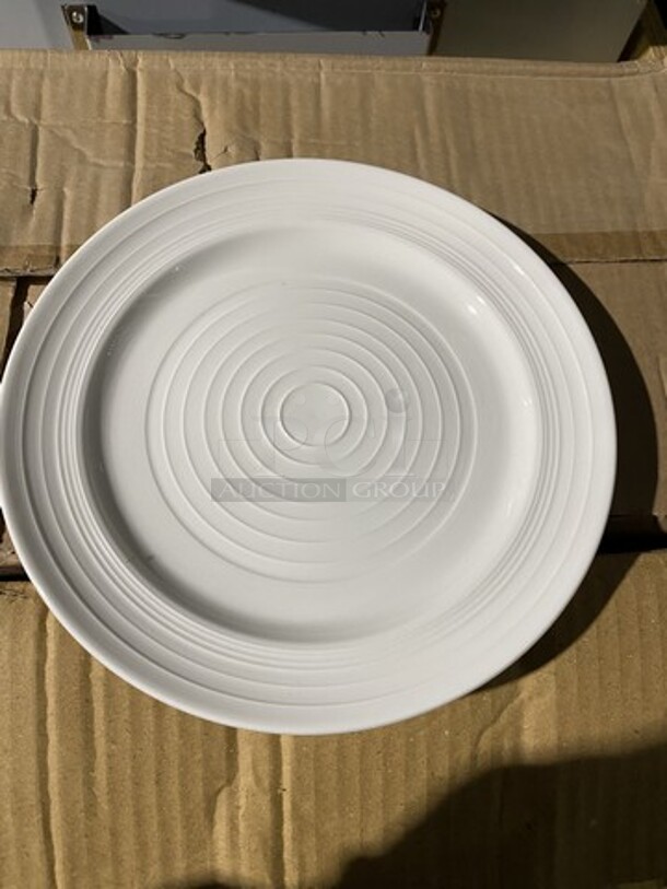 NEW IN THE BOX! CAC 8.25 Inch Round Dining Plates! TGO22! All One Money 3 Dozen! - Image 4 of 8
