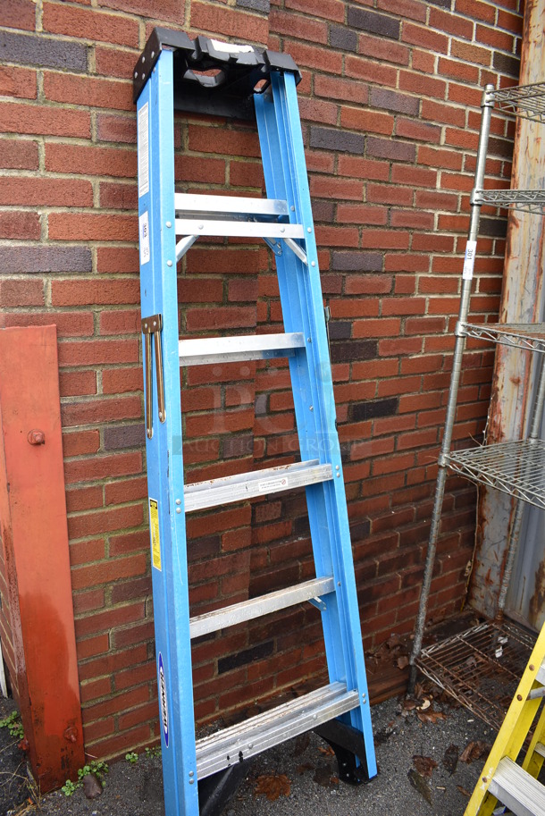 Werner 6' A Frame 250 Pound Capacity Ladder