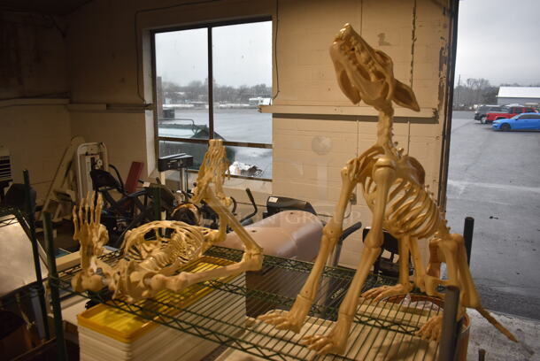 2 Fake Decorative Skeletons; Human and Dog. 2 Times Your Bid!