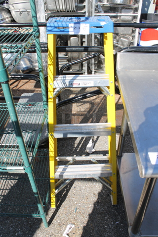 Werner 3' A Frame Ladder.