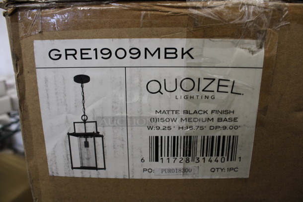 BRAND NEW IN BOX! Quoizel GRE1909MBK Matte Black Finish Lighting Fixture