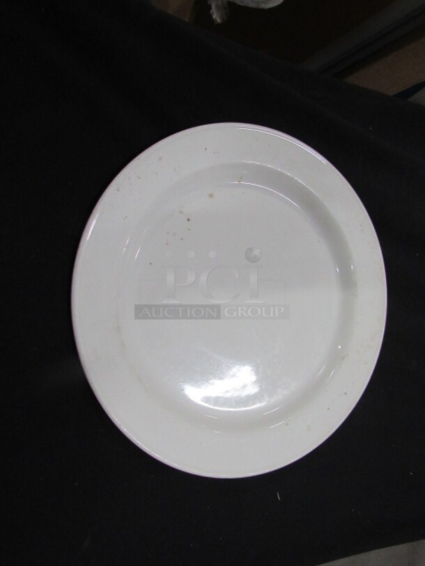 10.5 Inch White Steelite Plate. 10XBID
