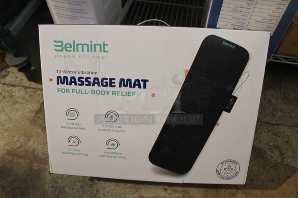 ALL ONE MONEY! Tier Lot of Various BRAND NEW SCRATCH AND DENT! Items Including 2 Belmint Massage Mats, 10" Nonstick Frying Pan and Can Organizer - Image 3 of 4