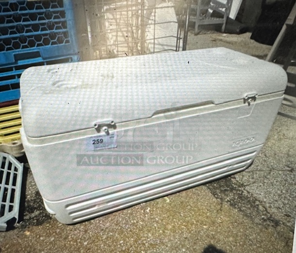 One Igloo Cooler.  - Image 1 of 1