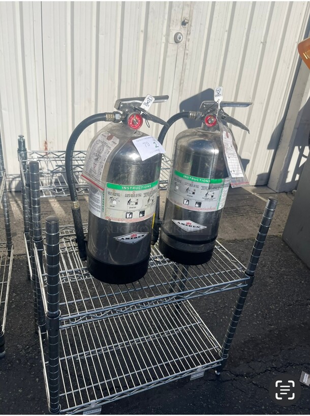 Amerex C260 - 6 Liter Class K Kitchen Fire Extinguisher Commercial NSF